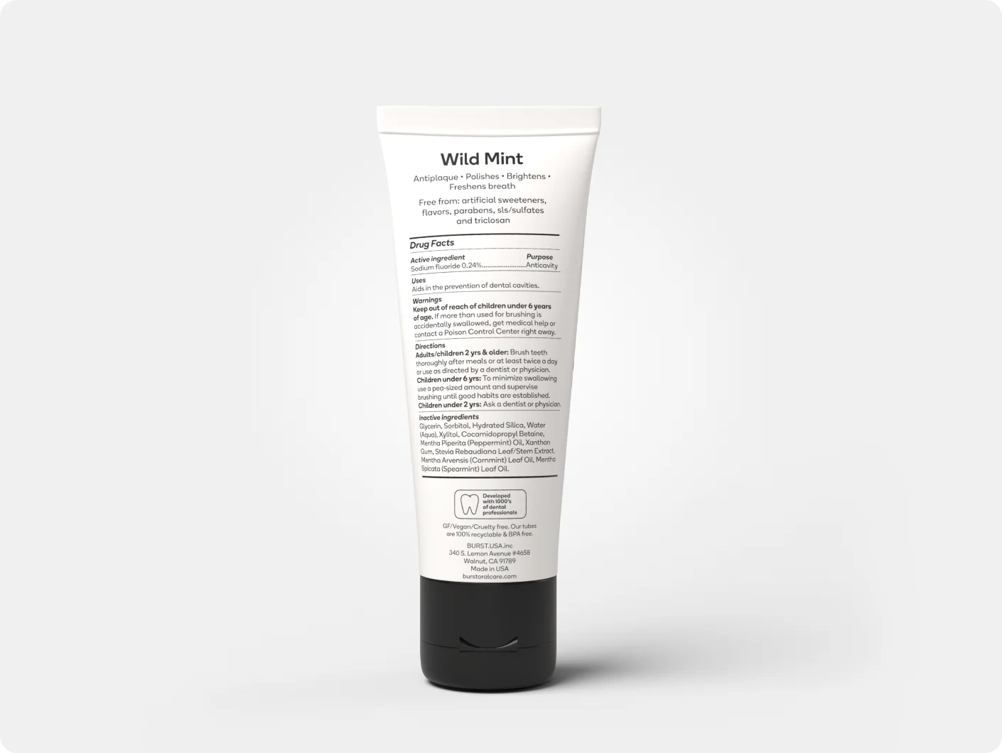 Wild Mint Toothpaste Refill - Image 2